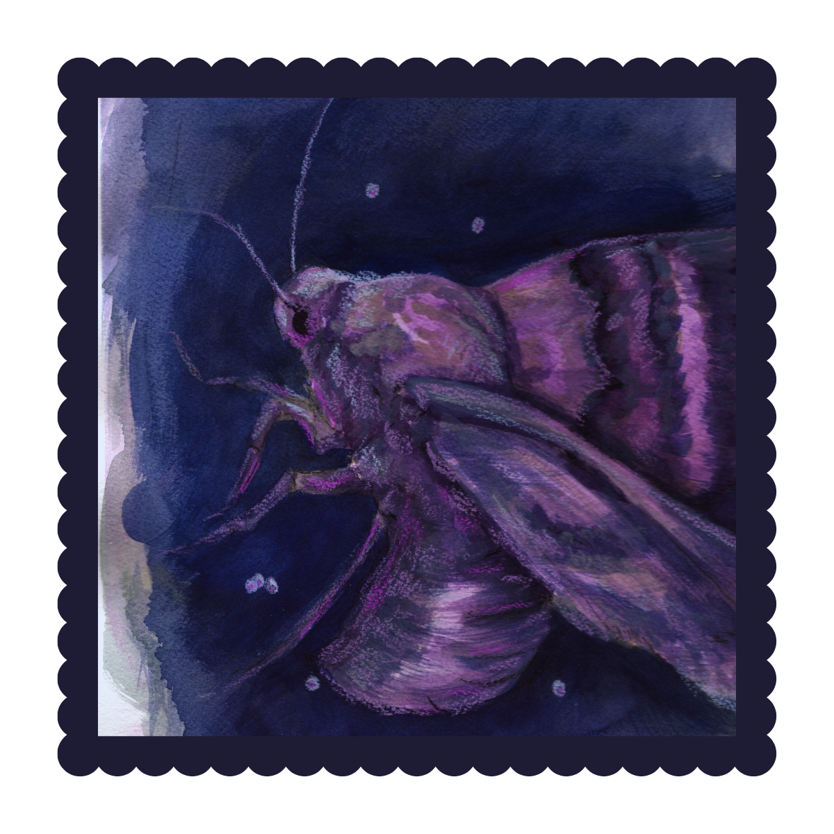 Flora & Fauna – Monthly Art mail club