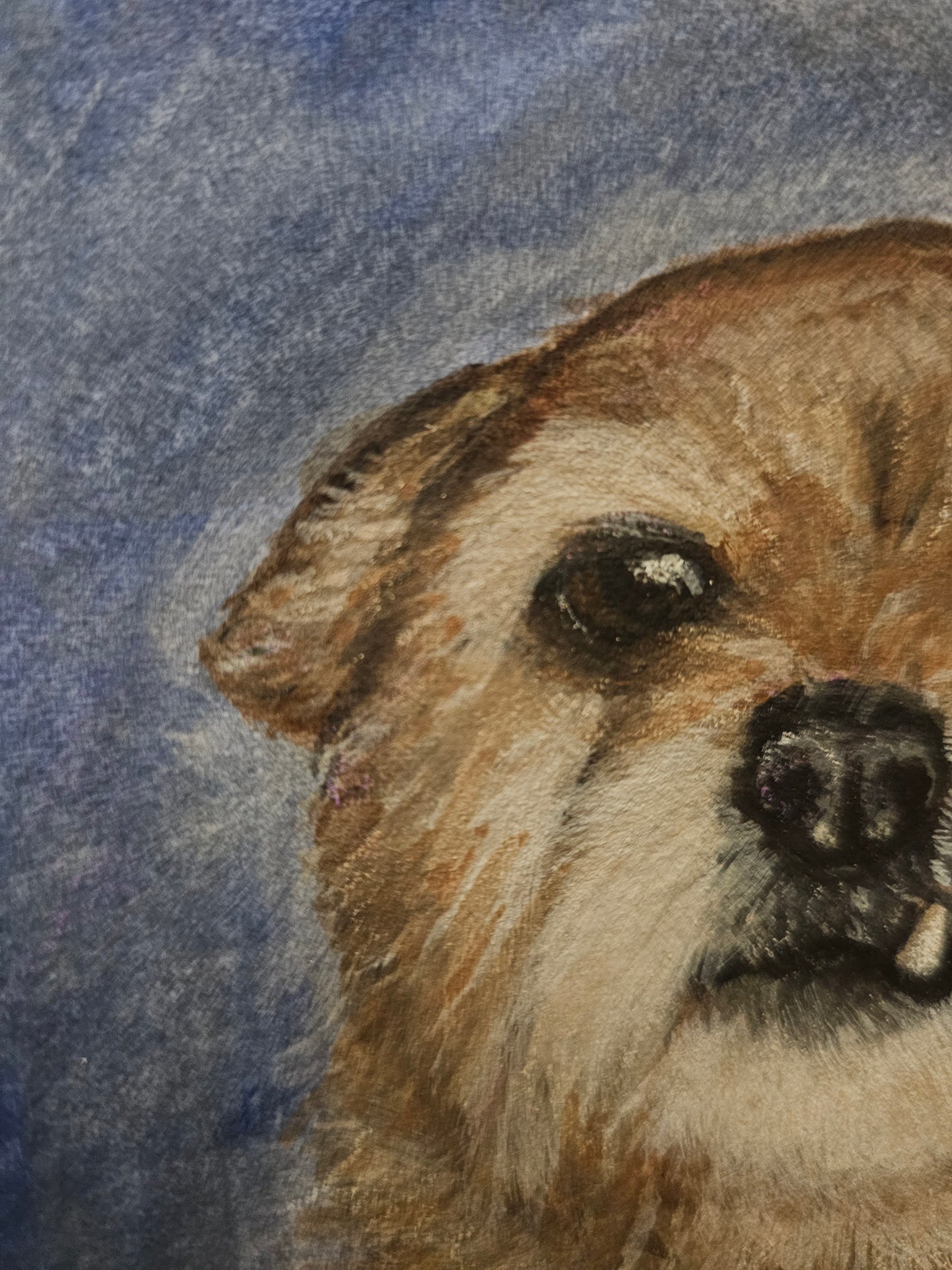 Custom Pet Portrait Commission - Watercolor