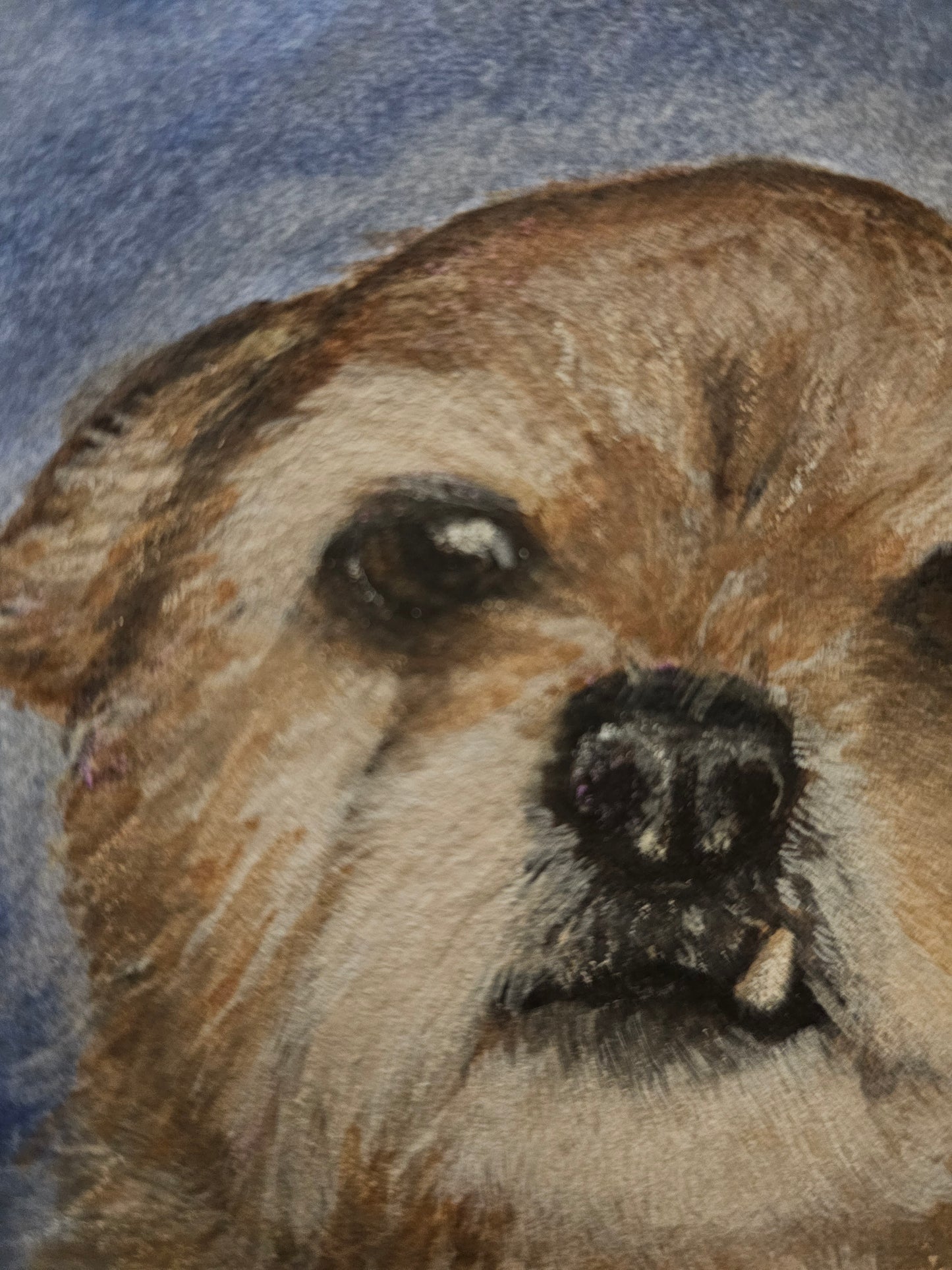 Custom Pet Portrait Commission - Watercolor