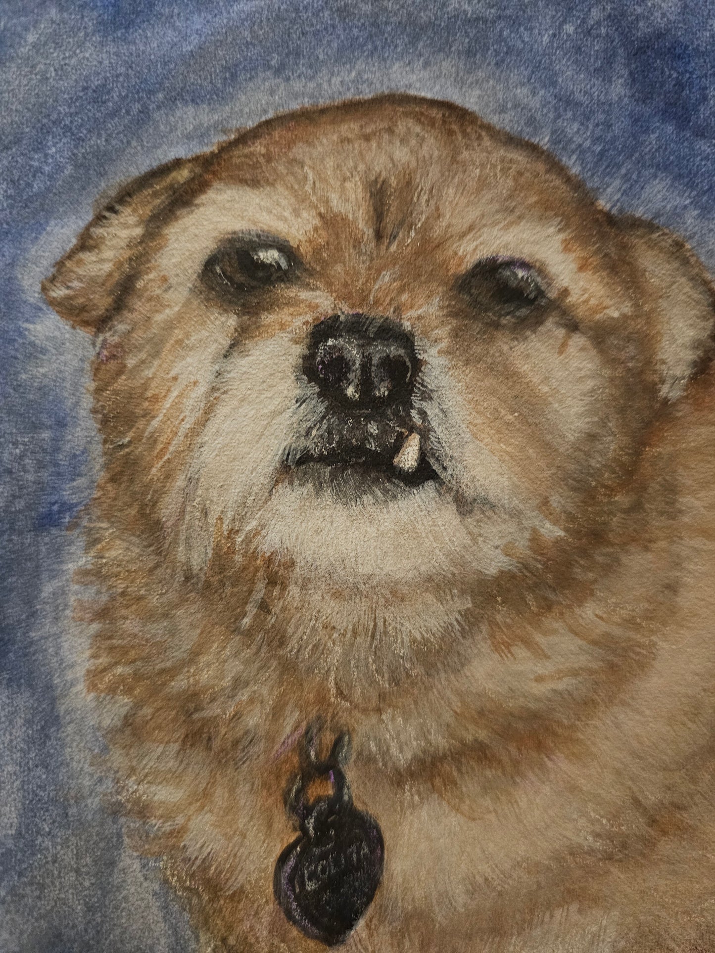 Custom Pet Portrait Commission - Watercolor