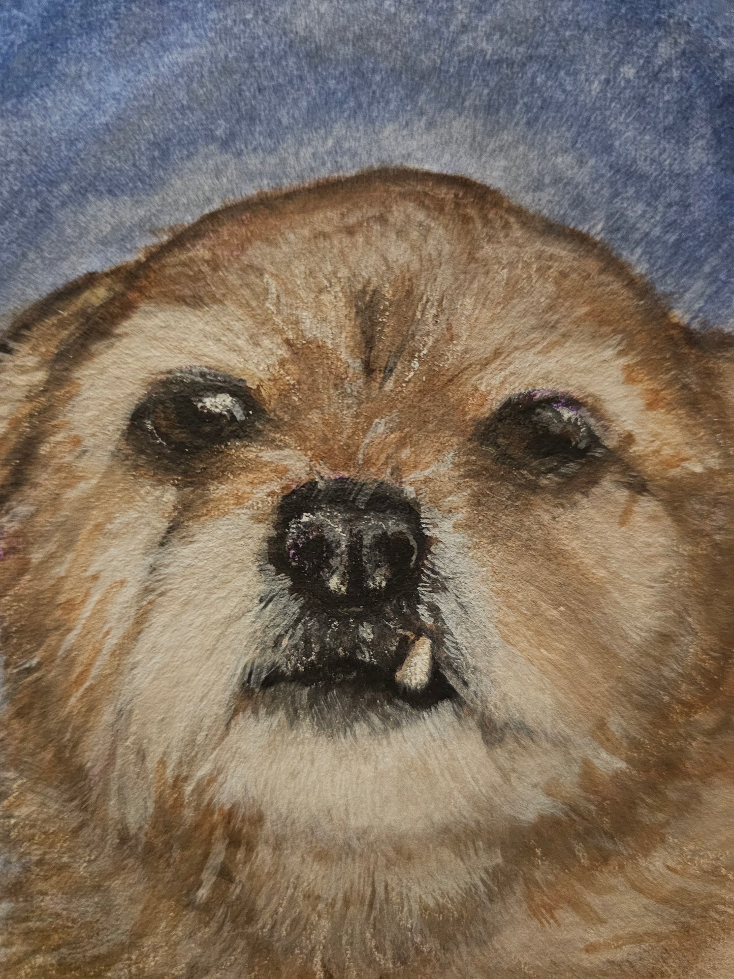 Custom Pet Portrait Commission - Watercolor