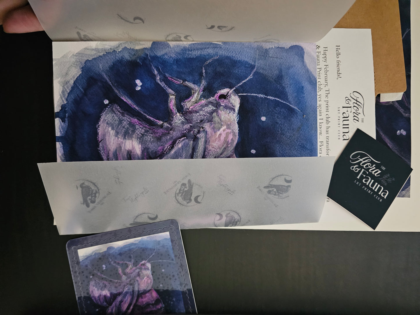 Flora & Fauna – Monthly Art mail club