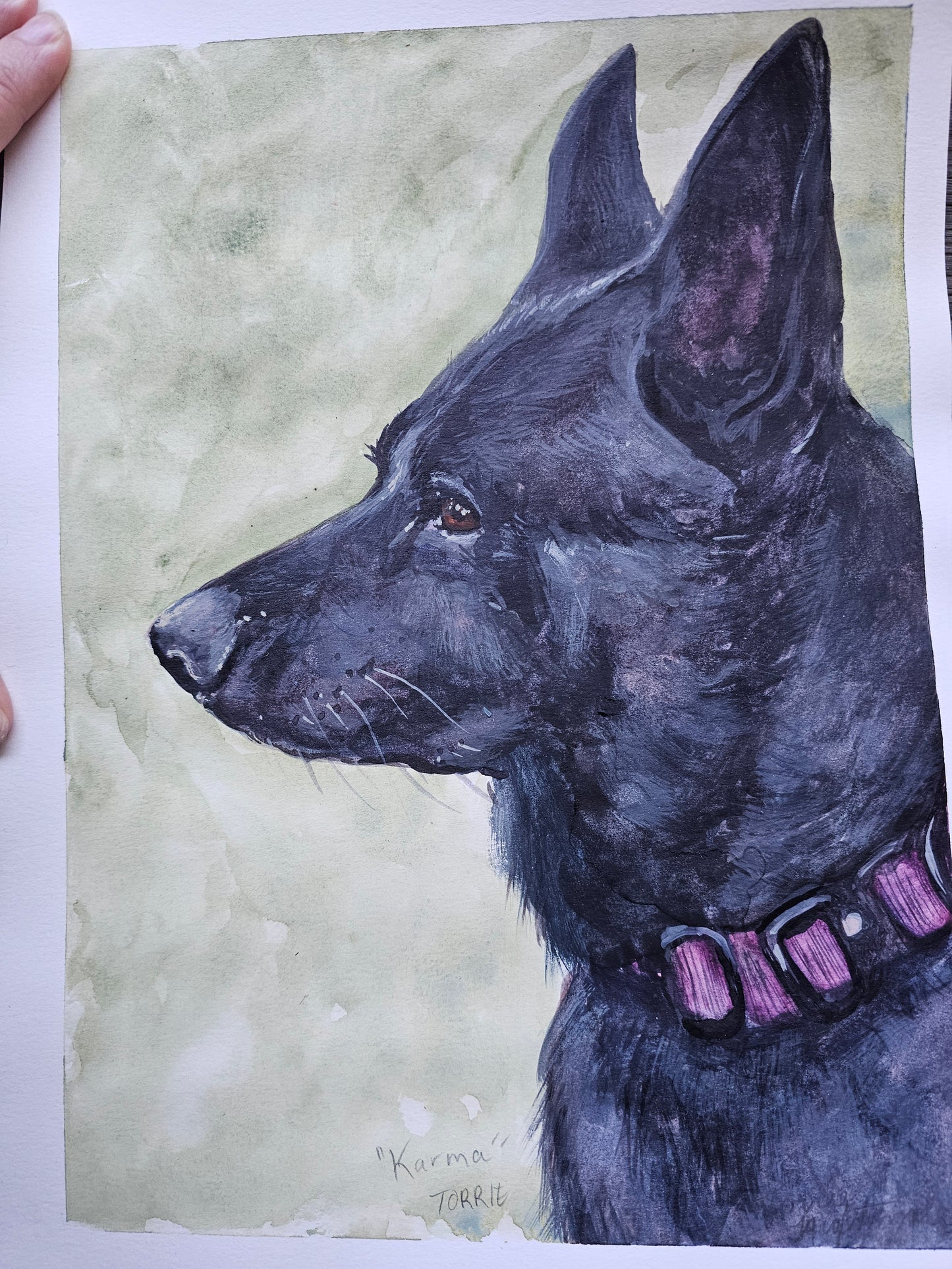 Custom Pet Portrait Commission - Watercolor